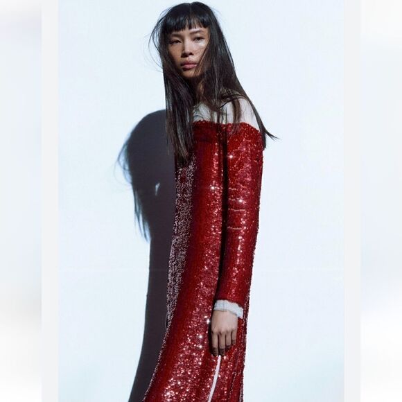 Zara Runs bigLimited EDITION- BLOGGER'S FAVE! SEQUIN CHIFFON DRESS ZW COLLECTION - Picture 15 of 16
